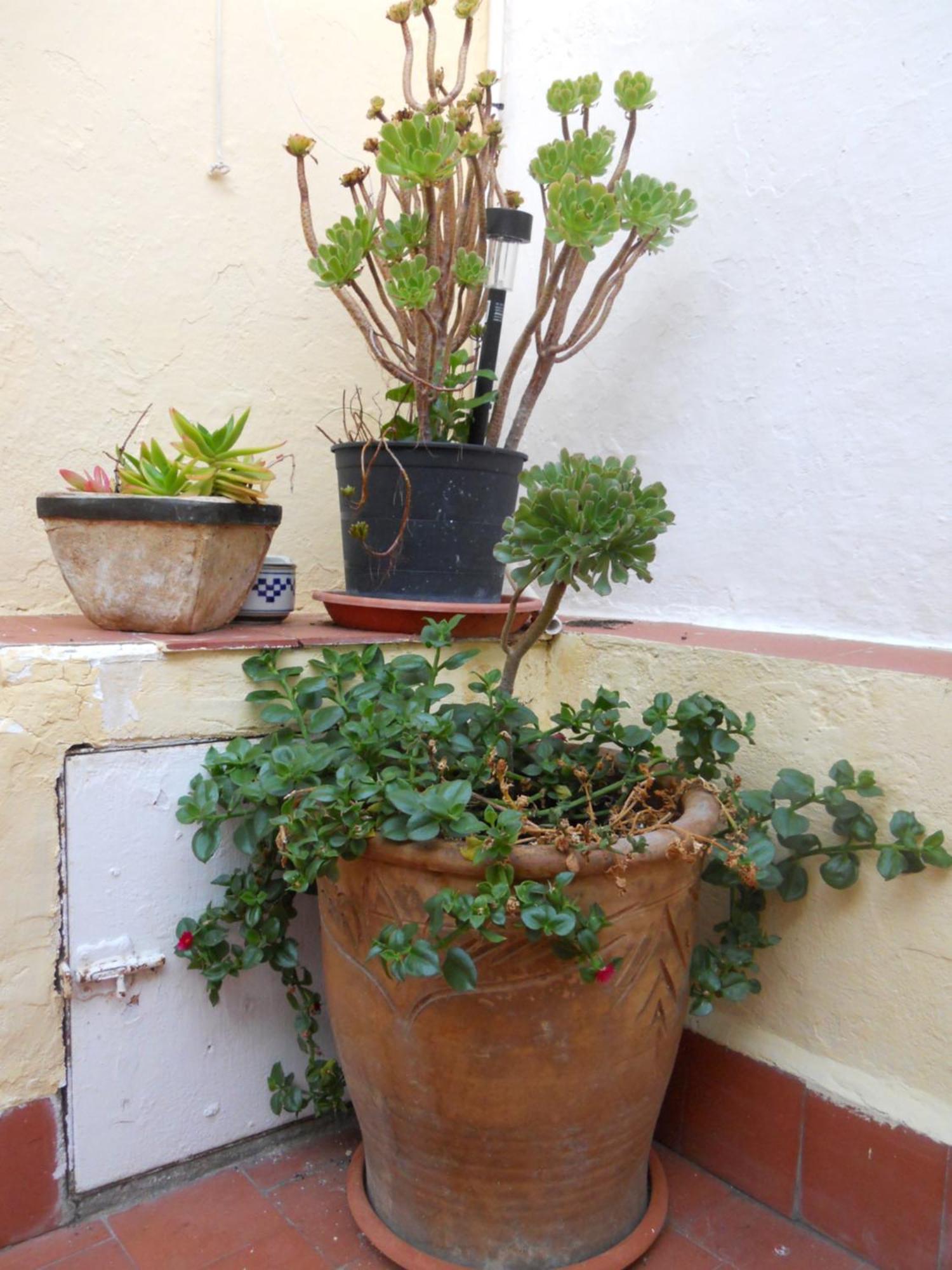 Naturalia: La Casita Con Patio Caces Eksteriør bilde